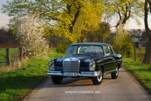 Imagen 3/27 de Mercedes-Benz 220 SE b (1964)