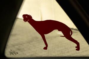 Image 36/41 of Mercedes-Benz A 160 "F1 Häkkinen Edition" (1999)