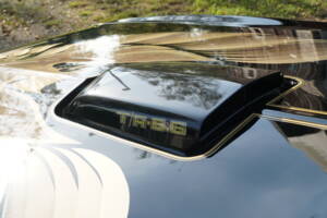 Afbeelding 43/69 van Pontiac Firebird TransAm (1979)