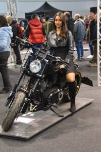 Bild 2/23 von Victory Hammer 8-Ball (2009)