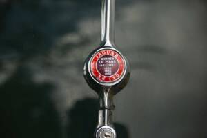 Image 14/50 of Jaguar XK 150 DHC (1954)