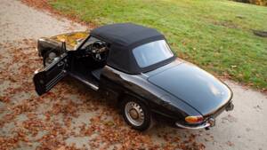 Image 25/51 of Alfa Romeo 1600 Spider Duetto (1966)