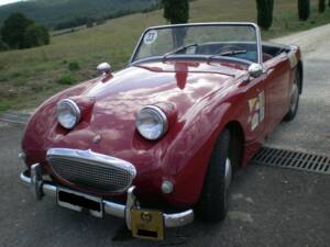 Bild 1/10 von Austin-Healey Sprite Mk I (1959)