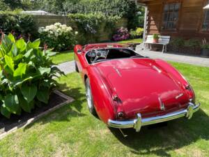 Bild 27/150 von Austin-Healey 100/4 (BN1) (1955)