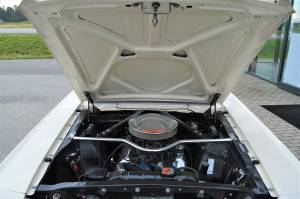 Image 14/33 de Ford Mustang 289 (1966)