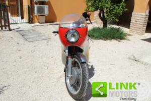 Bild 2/10 von MV Agusta DUMMY (1974)