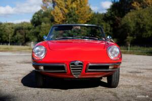 Afbeelding 14/50 van Alfa Romeo 1600 Spider Duetto (1967)