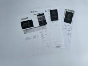 Bild 19/50 von Mercedes-Benz 170 S Cabriolet B (1950)