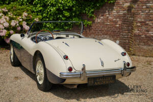 Bild 29/50 von Austin-Healey 100&#x2F;4 (BN1) (1954)