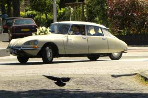 Imagen 1/31 de Citroën D Spécial (1974)