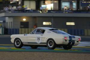 Afbeelding 2/48 van Ford Shelby GT 350 (1965)