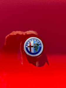 Bild 16/19 von Alfa Romeo Alfetta GTV 2000 (1977)