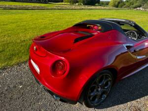 Bild 23/47 von Alfa Romeo 4C Spider (2015)