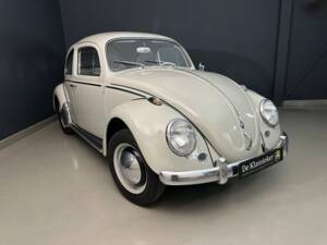Afbeelding 1/61 van Volkswagen Beetle 1200 Export &quot;Dickholmer&quot; (1960)