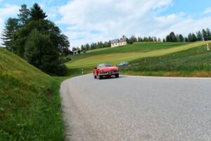 Imagen 7/45 de Alfa Romeo Giulietta Spider Veloce (1960)