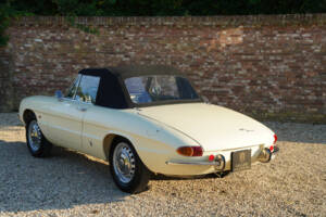 Bild 11/50 von Alfa Romeo 1600 Spider Duetto (1967)