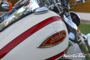 Immagine 23/50 di Harley-Davidson FLSTS 1340 Heritage Springer (1998)