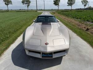 Afbeelding 8/50 van Chevrolet Corvette Collector Edition (1982)