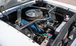 Image 28/54 of Ford Shelby GT 350 (1965)