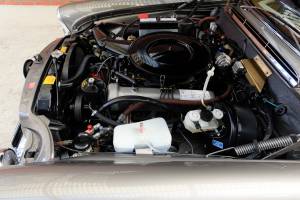 Bild 42/50 von Mercedes-Benz 280 SE 3,5 (1971)