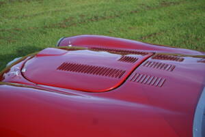 Bild 7/16 von Alfa Romeo Giulia Barchetta Gilco (1962)