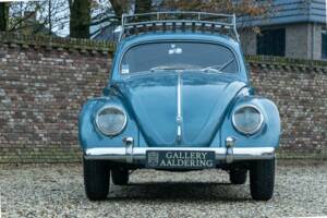Bild 5/50 von Volkswagen Käfer 1200 Standard "Ovali" (1954)