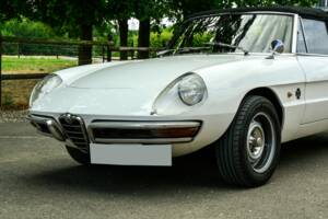 Image 6/66 of Alfa Romeo 1750 Spider Veloce (1968)