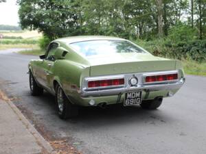Image 4/18 of Ford Shelby GT 500 (1968)