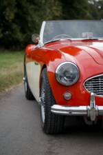 Bild 25/30 von Austin-Healey 3000 Mk I (BN7) (1959)