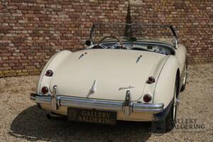 Image 50/50 of Austin-Healey 100/4 (BN1) (1954)