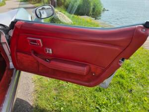 Bild 23/37 von Chevrolet Corvette 5.0L (1979)