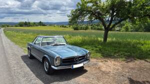 Immagine 8/15 di Mercedes-Benz 280 SL (1970)