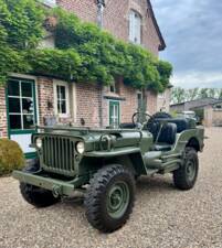 Immagine 1/20 di Jeep Willys-Overland CJ-3A (1950)