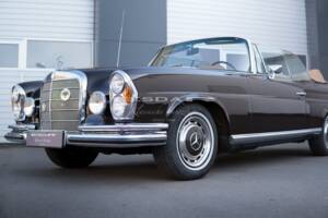 Bild 33/37 von Mercedes-Benz 280 SE (1969)