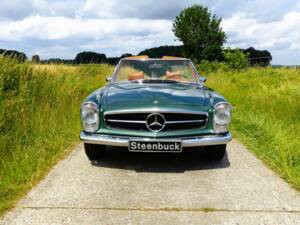 Afbeelding 2/12 van Mercedes-Benz 280 SL (1969)