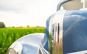 Immagine 22/83 di Ford V8 Model 46 Pick Up (1940)