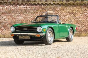 Immagine 10/50 di Triumph TR 6 (1976)