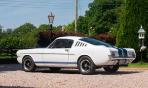 Image 9/54 of Ford Shelby GT 350 (1965)