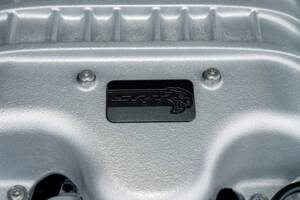 Image 66/86 of Dodge Challenger SRT "Black Ghost" (2023)