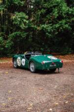 Afbeelding 18/33 van Triumph TR 2 (1955)