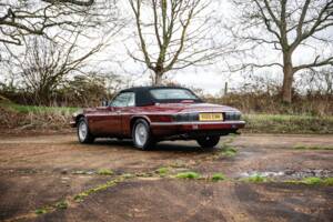Image 11/50 of Jaguar XJS 5.3 V12 (1993)
