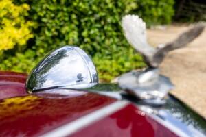 Image 24/50 of Riley TT Sprite Special (1937)