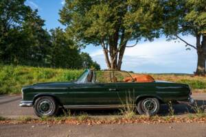Bild 2/41 von Mercedes-Benz 250 SE (1967)