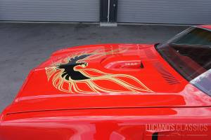 Bild 15/64 von Pontiac Firebird TransAm (1976)