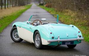 Immagine 41/48 di Austin-Healey 3000 Mk I (BN7) (1960)