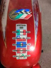 Immagine 30/49 di Benelli Nuovo Leoncino (1965)