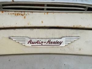 Bild 19/22 von Austin-Healey 3000 Mk II (BN7) (1960)