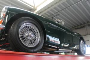 Imagen 8/50 de Austin-Healey 3000 Mk III (BJ8) (1967)