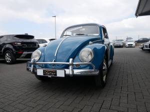 Bild 3/17 von Volkswagen Maggiolino 1200 Export &quot;Dickholmer&quot; (1964)