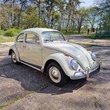 Bild 9/140 von Volkswagen Käfer 1200 Export "Dickholmer" (1963)